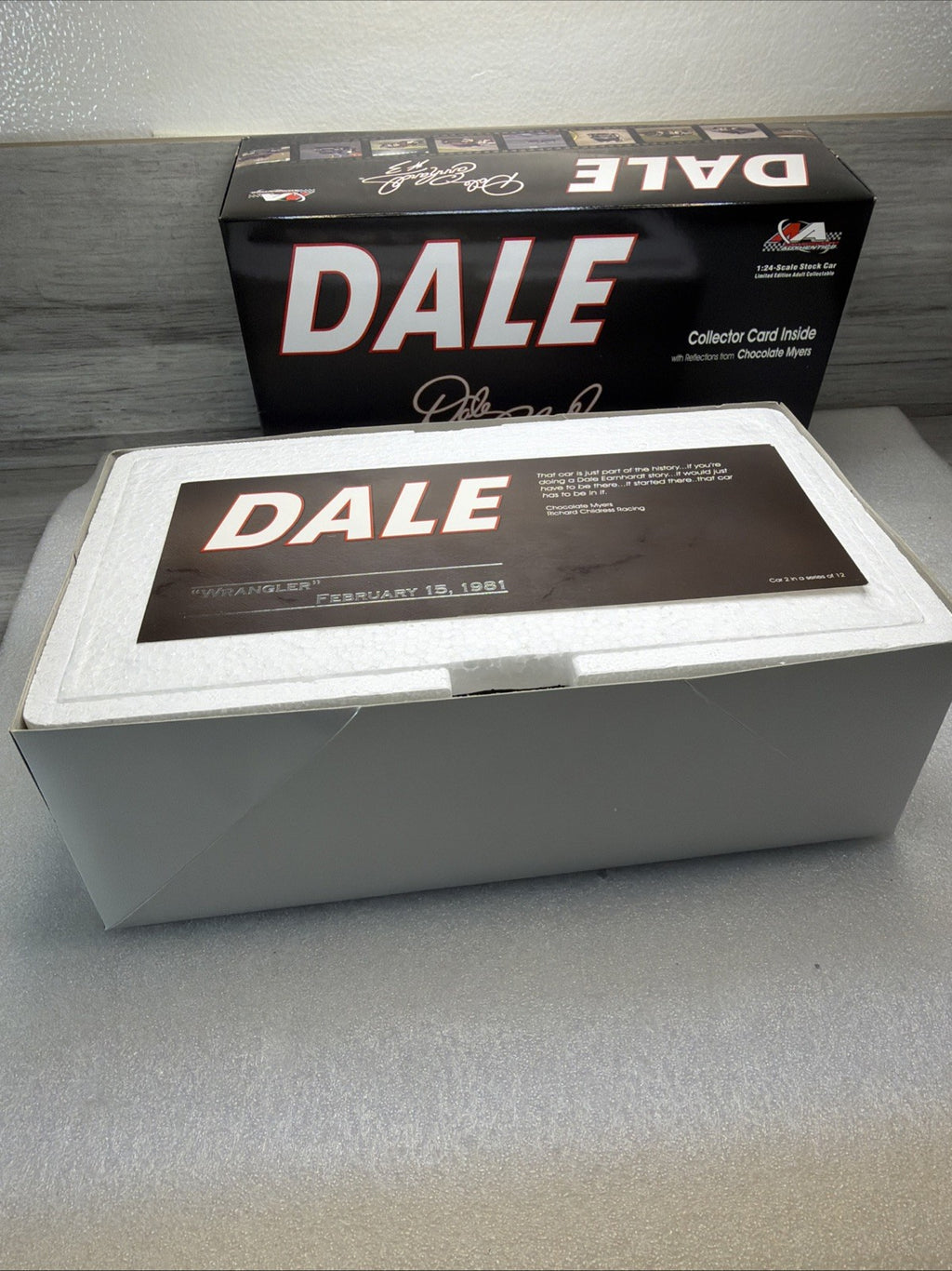 Dale Earnhardt Dale The Movie #2 Wrangler 1981 Grand Prix Car 2/12 LTD EDITION13