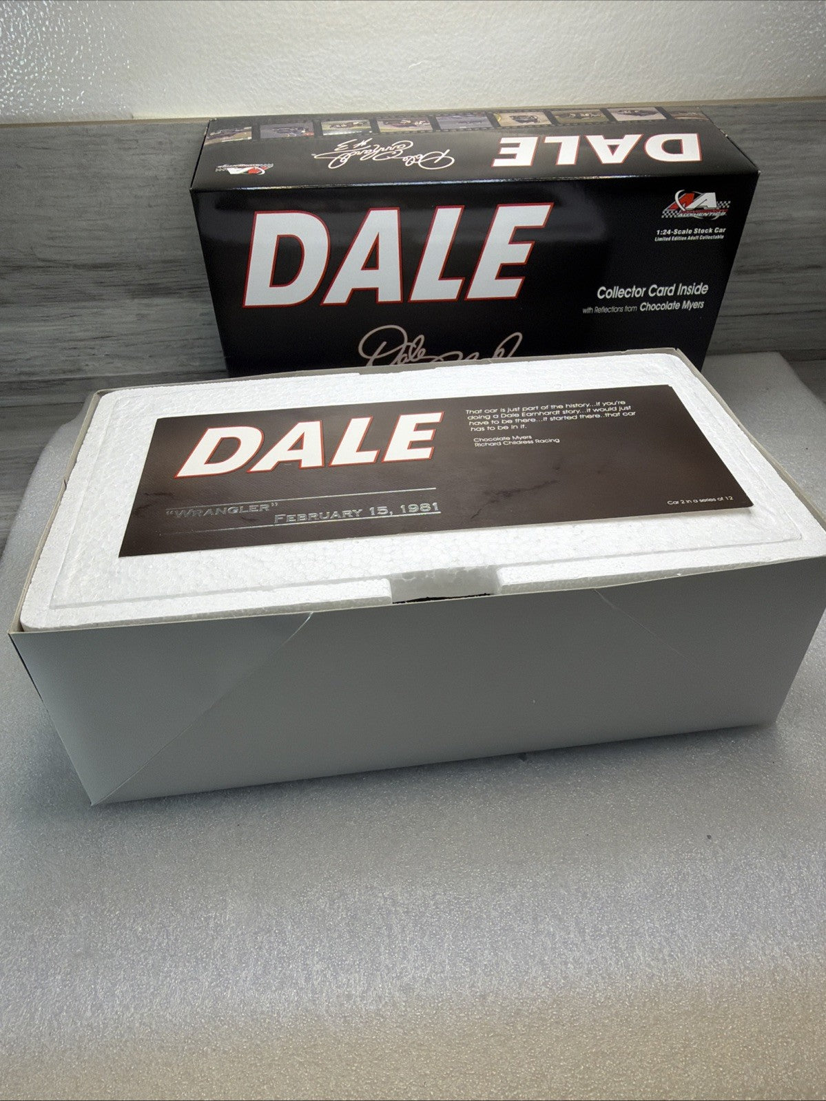 Dale Earnhardt Dale The Movie #2 Wrangler 1981 Grand Prix Car 2/12 LTD EDITION13